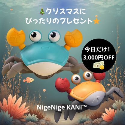 🦀 ニゲニゲカニ™ 新登場！