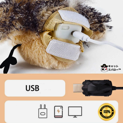 キャット・スパロー™｜CAT SPARROW™