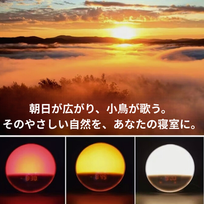 NOVA™ Sunrise Light