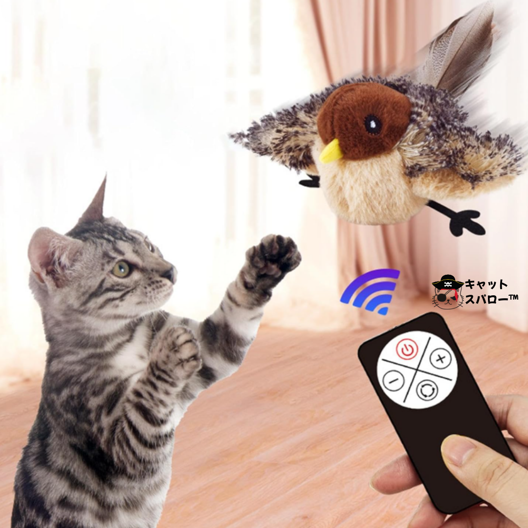 キャット・スパロー™｜CAT SPARROW™