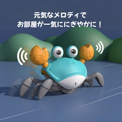 🦀 ニゲニゲカニ™ 新登場！