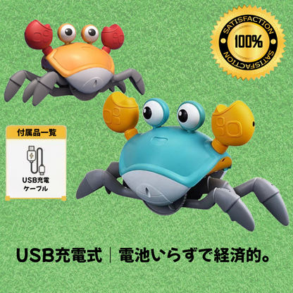 🦀 ニゲニゲカニ™ 新登場！