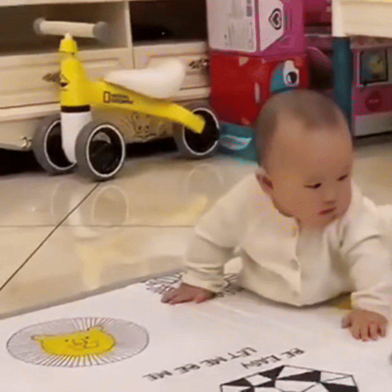 🦀 ニゲニゲカニ™ 新登場！